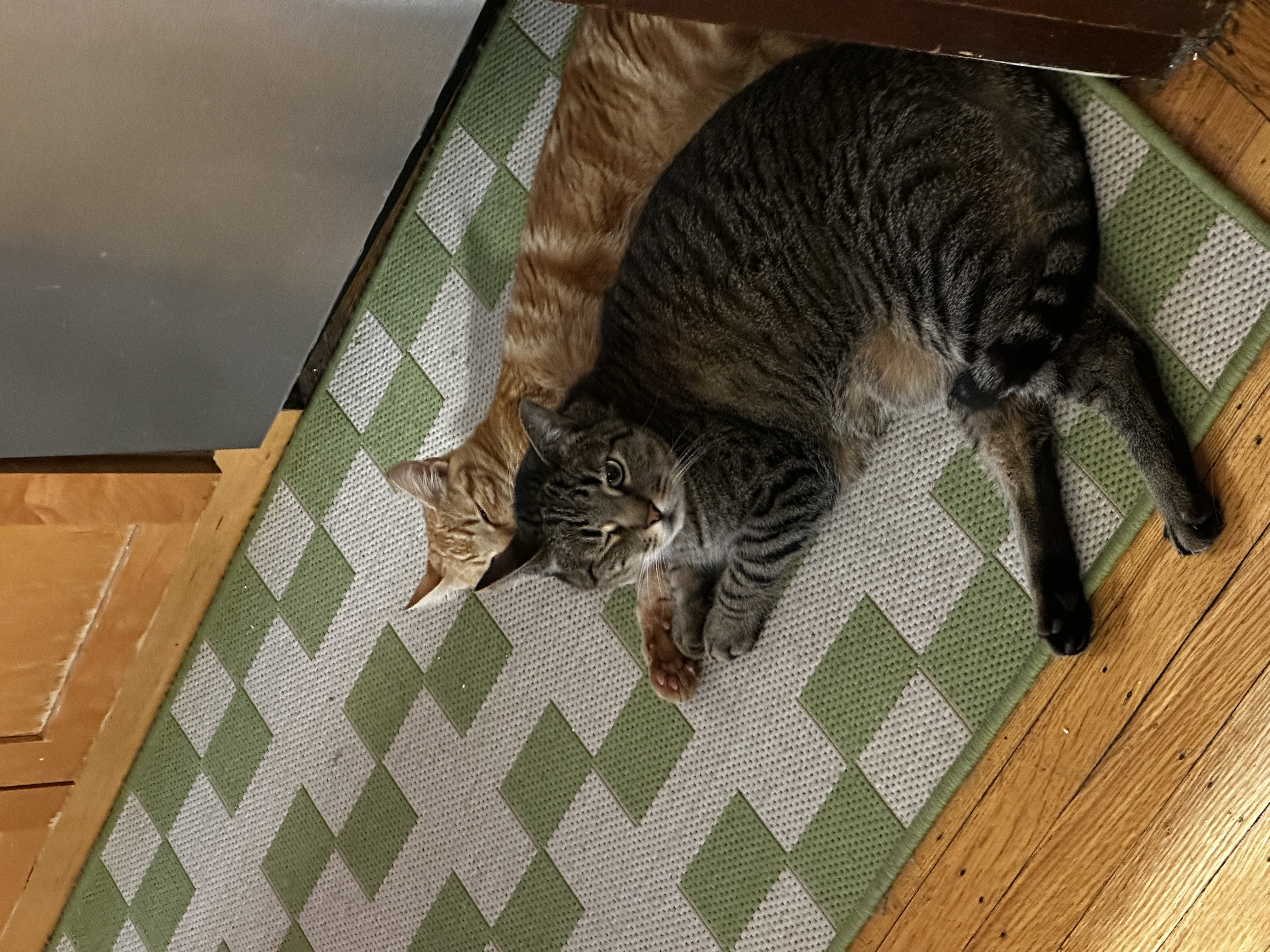 Pumpkin and Lima Bean
